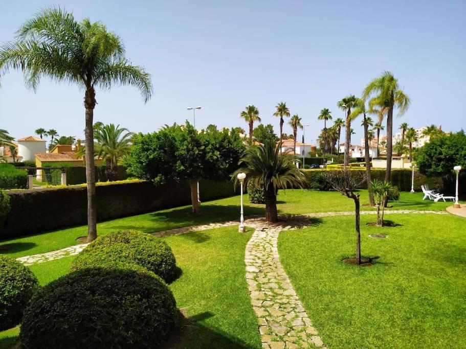 Nova - Blue Flag And Golf On-site * Oliva